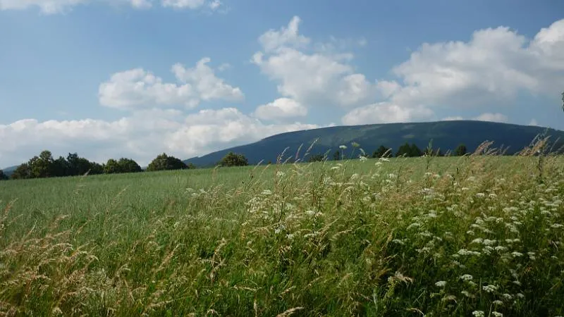 Omgeving Reuzengebergte